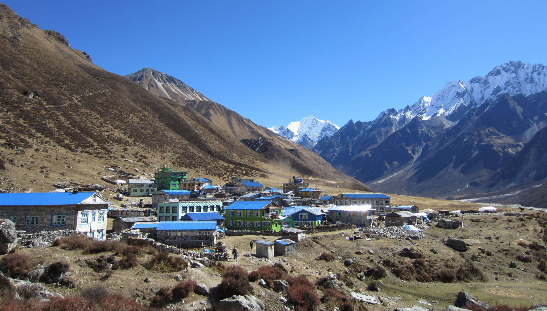 Langtang Valley Trek 5 days
