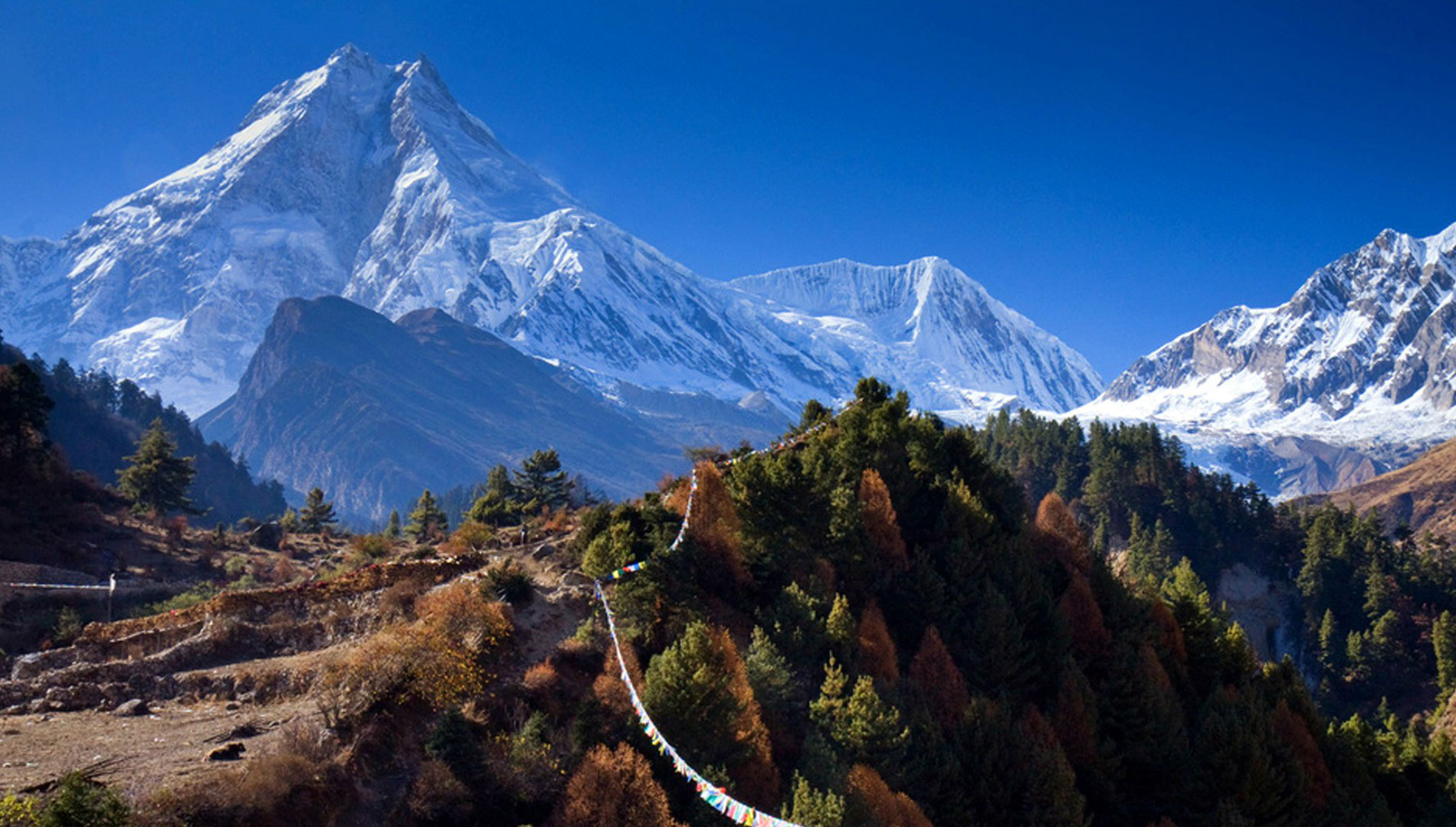 Manaslu Circuit Trek 11 days