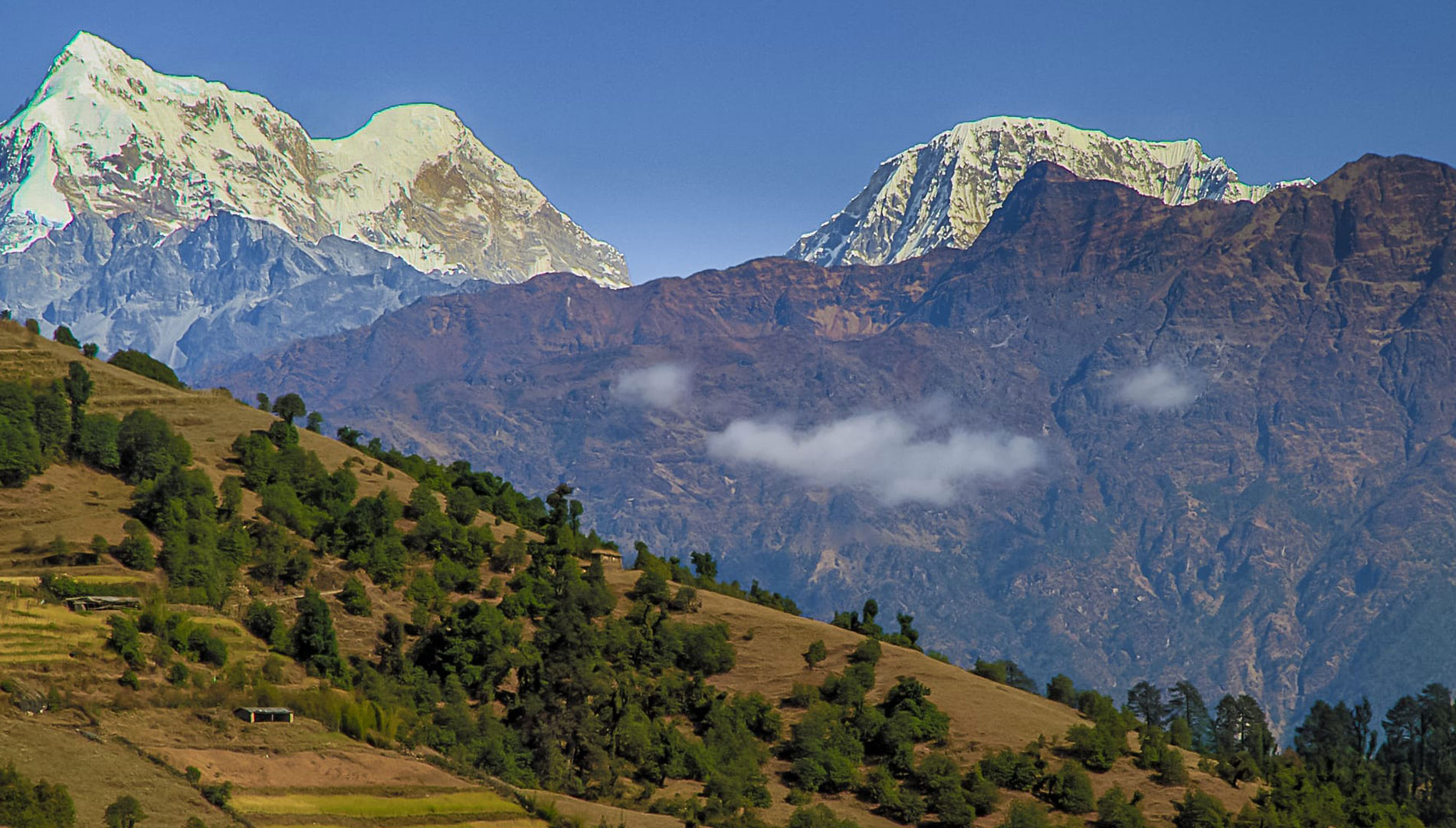 Pikey Peak Trek 8 days